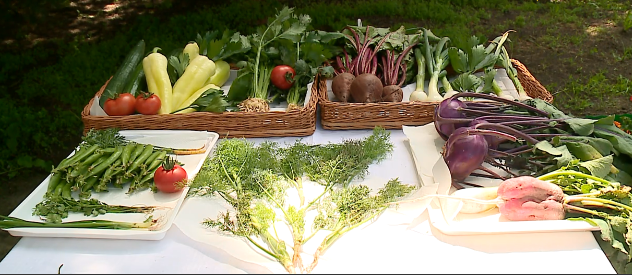 Hazait az asztalunkra 